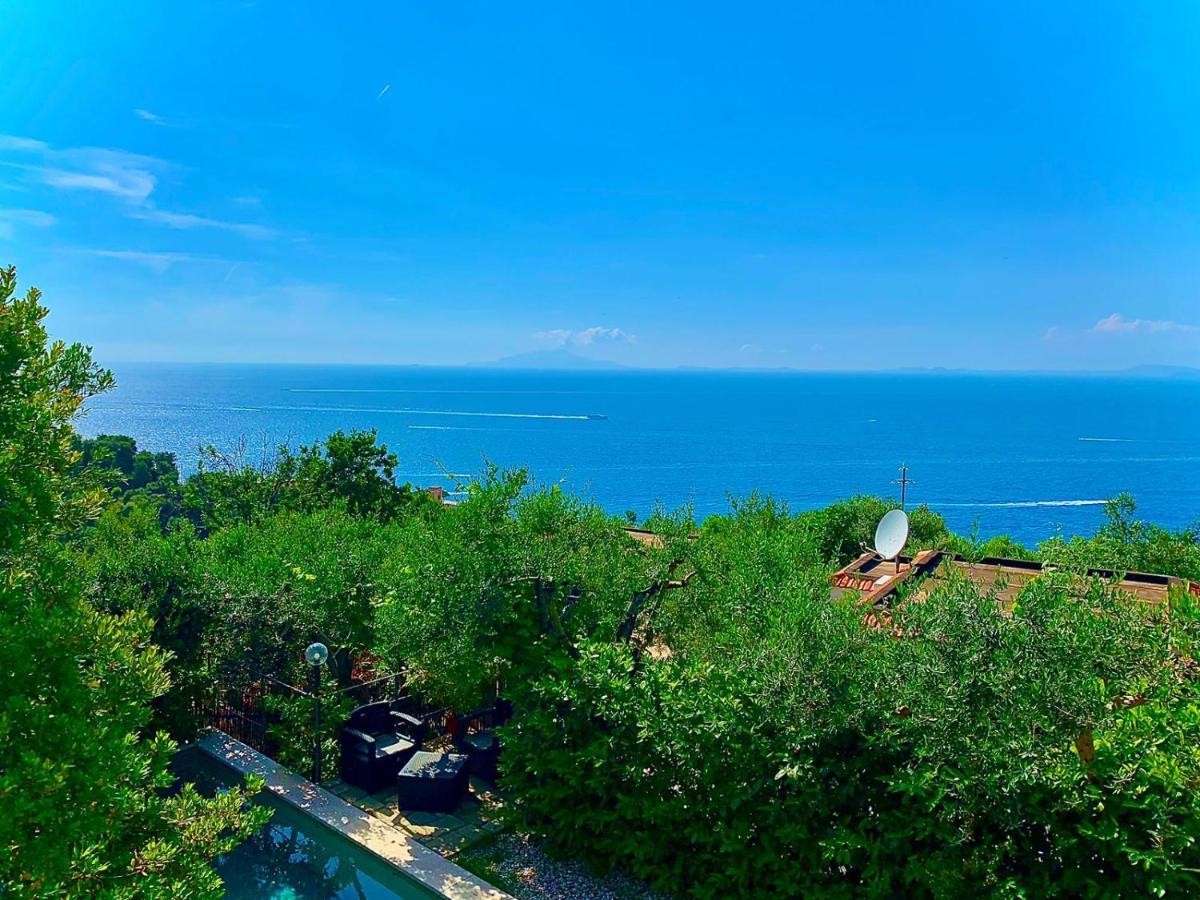 Amore Rentals - Casa Tatano Marciano ภายนอก รูปภาพ